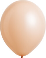 Fashion Blush