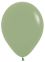 11" Fashion Eucalyptus (50pcs) Sempertex Balloons