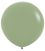 24" Fashion Eucalyptus (10pcs) Sempertex Balloons