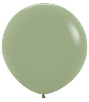 24" Fashion Eucalyptus (10pcs) Sempertex Balloons