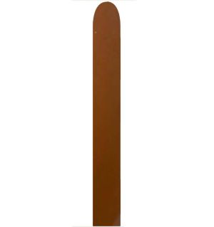 160 Standard Coffee (50pcs) Celetex Balloons