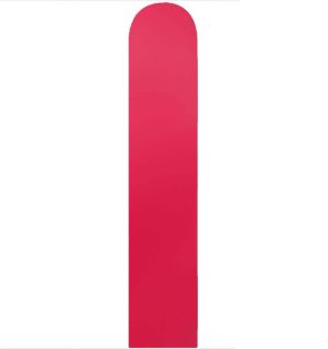 360 Standard Wild Raspberry (50pcs) Celetex Balloons