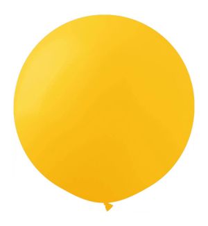 19" Standard Sunflower (10pcs) ProLatex Balloons