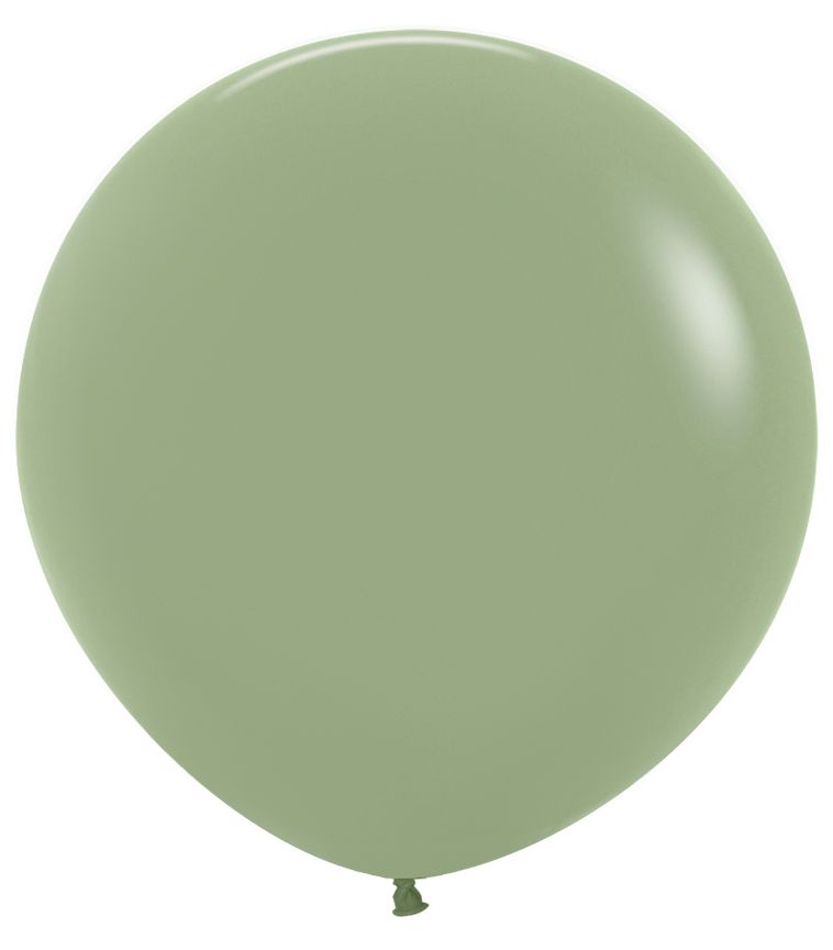 24" Fashion Eucalyptus (10pcs) Sempertex Balloons