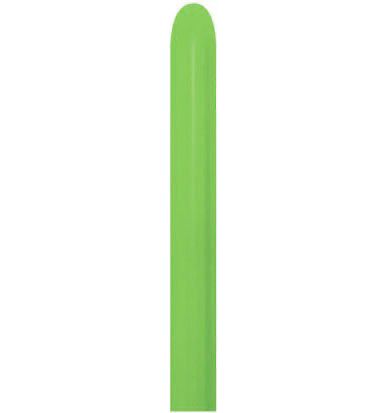 260 Fashion Lime Green (50pcs) Sempertex Balloons