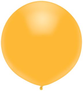 17" Gold (50pcs) Funsational Balloons