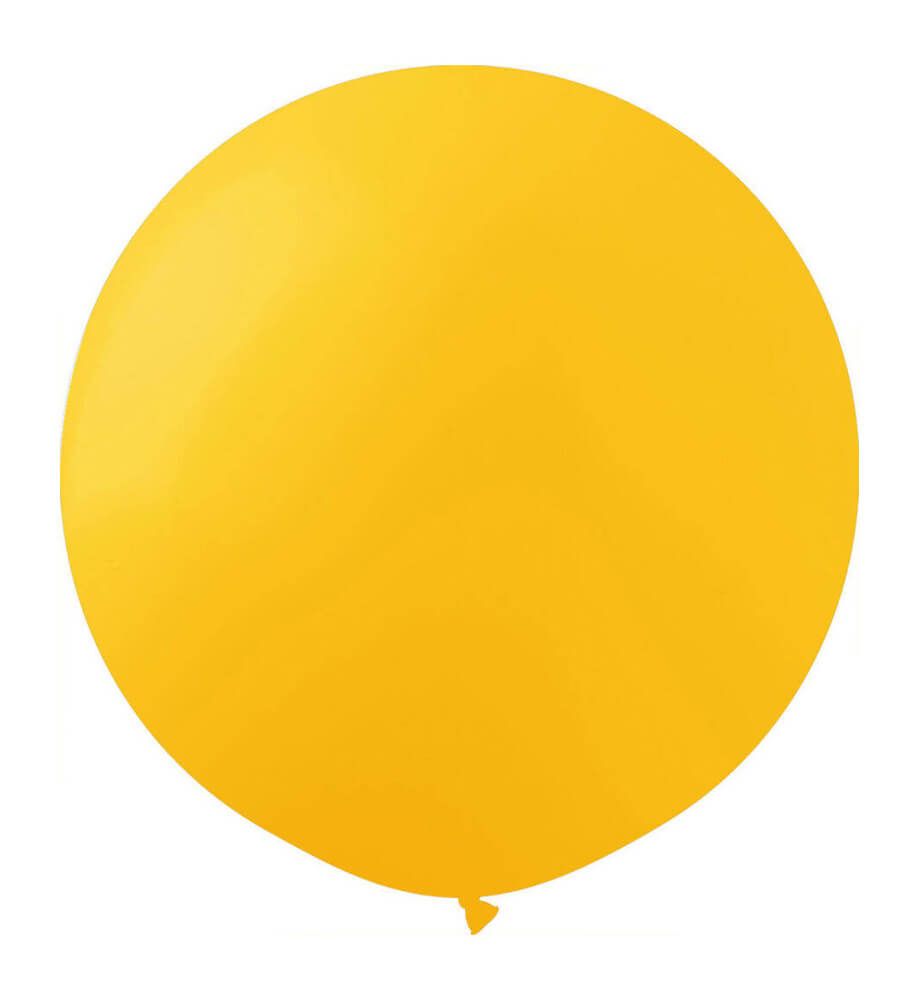 19" Standard Sunflower (10pcs) ProLatex Balloons