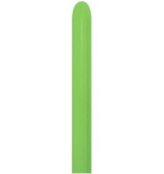 260 Fashion Lime Green (50pcs) Sempertex Balloons