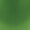 Satin Luxe Emerald