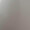 Standard Grey